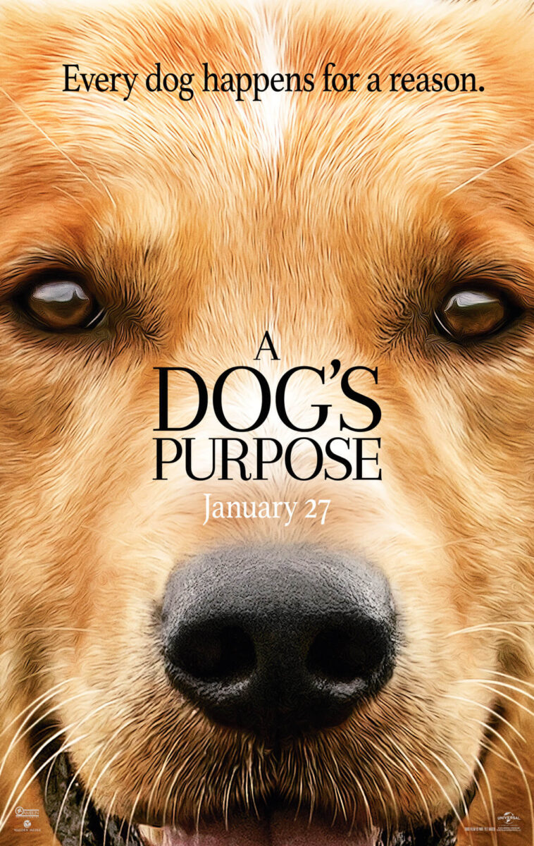 Šuns tikslas - A Dog's Purpose (2017)