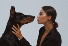 Ar tikrai turite būti gaujos vadas? Ar tikrai turite būti gaujos vadas? Per didelis griežtumas savo augintiniui.