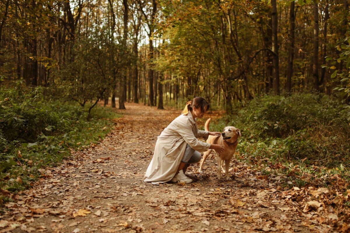 Kodėl vakare išsenkame. Pasivaikščiojimai parke atstato vitamina D ir atkuria jėgas.