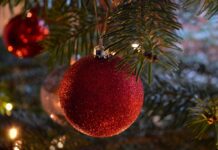 Eglučių dekoravimo tendencijos: kas madinga 2024–2025? Eglučių dekoravimo tendencijos. 2025 Metų dekoravimo tendencijos.