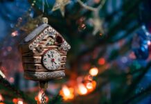 Kūčių nakties paslaptis: kodėl tikima, kad gyvūnai prabyla? Kodėl gyvūnai prabylą per kūčių naktį.