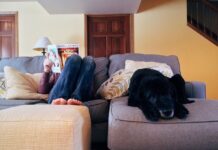 Kodėl šuo naktį ateina tavęs patikrinti? Tikrosios priežastys. Kodėl šuo naktį ateina tavęs patikrinti.