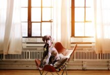 7 ženklai, kad šuo ar katė patiria stresą (ir ką daryti iškart) Šuo ar katė patiria stresą. Šuo jaučiantis stresą.