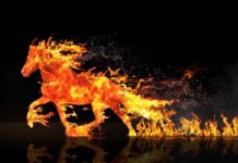 2026: Ugninio Arklio metai ir jų energija Ugninio arklio metai 2026. Ugninis arklys.