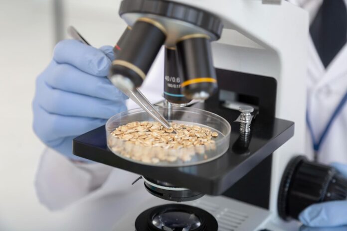 augintinio-maisto-kokybes-testas Augintinio maisto kokybės testas. Labalatorija tiria šuns maisto kokybę.