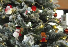 Šis triukas išgelbėja eglutę nuo spyglių kritimo Eglutė nenumeta spyglių. Papuošta kalėdinė eglutė.