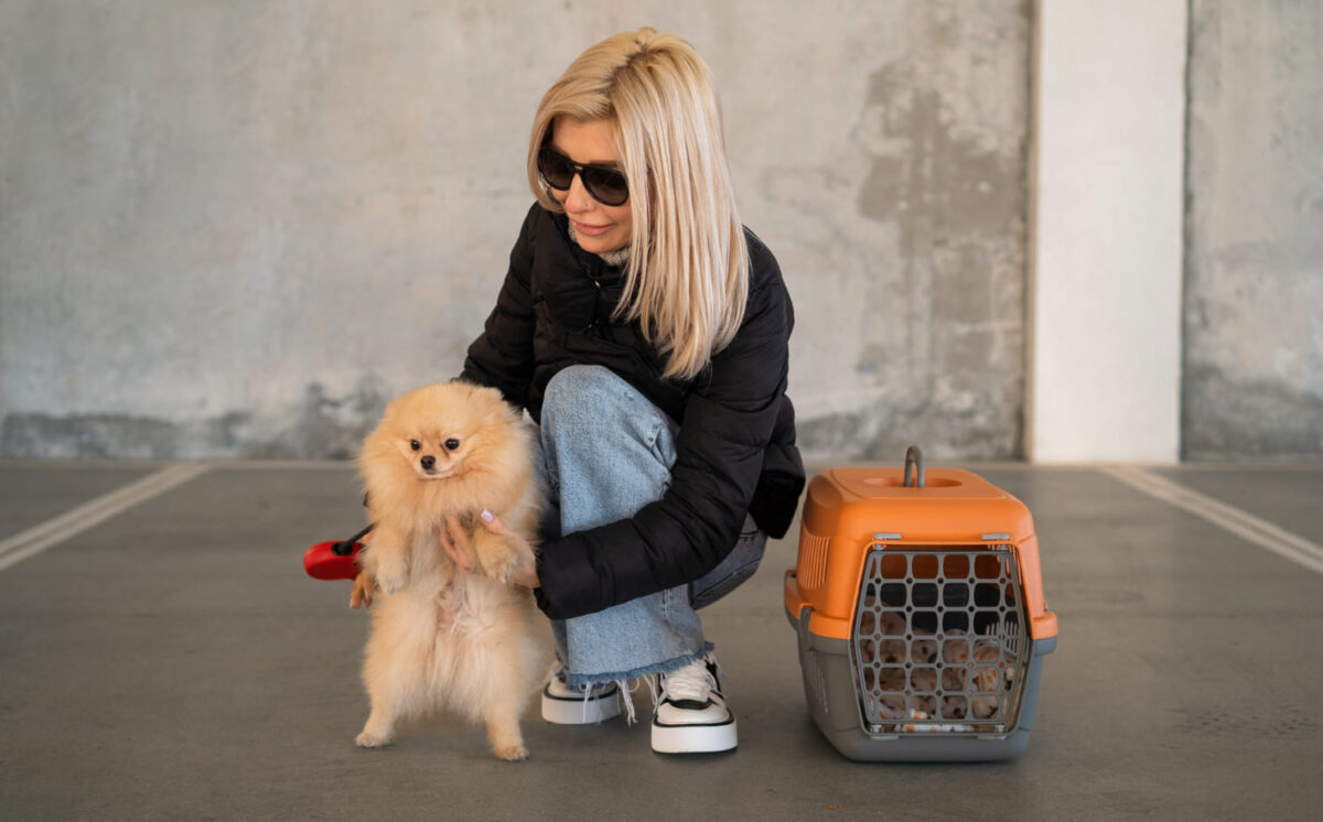 Gyvūnai renkasi viena konkretų žmogų. Šuo su savo šeimininke.