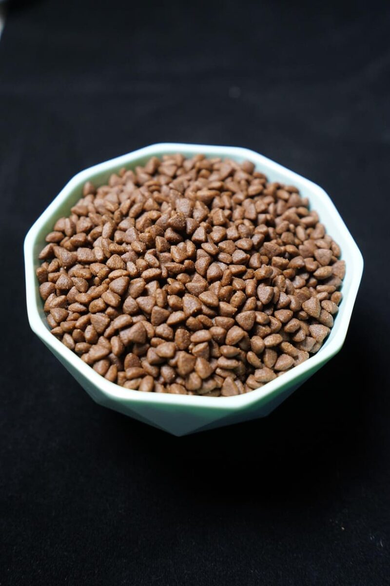 Katės kailis taps blizgus. Riebesnis maistas padeda katės kailiui tapti blizgesniam.