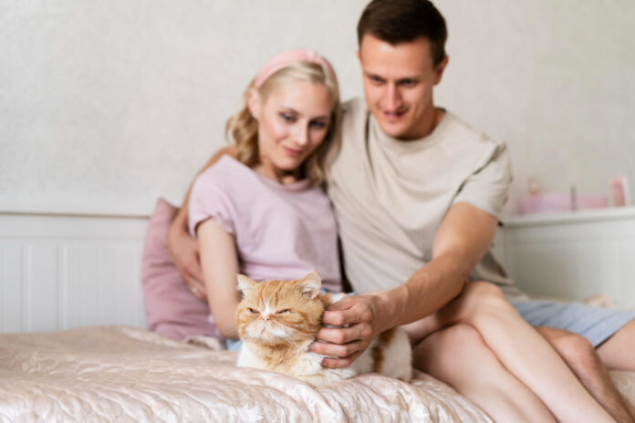 klaidos-kurias-daro-kaciu-seimininkai Klaidos kurias daro kačių šeimininkai. Šeimininkai myli savo katę.