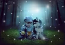 Kokių magiškų gebėjimų realiai turi gyvūnai? Magiški gyvūnų gebėjimai. Šuo kartu su berniuku sėdi magiškame miške.