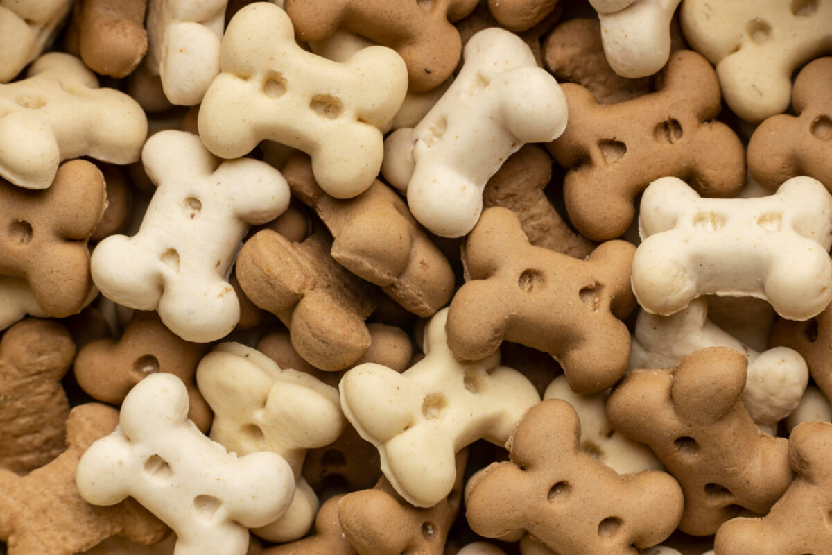 Naminiai sausainiai šunims. Šviežiai kepti sausainiai šunims.