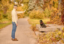 Šuo dažnai prašosi į lauką, bet mažai šlapinasi Šuo dažnai prašosi į lauką. Šuo nori išeiti į lauką.
