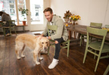 Šuo nustojo džiaugtis grįžus šeimininkui – ką tai reiškia iš tiesų Šuo nustojo džiaugtis grįžus šeimininkui. Šuo nesidžiaugia kai jo šeimininkas grįžo.