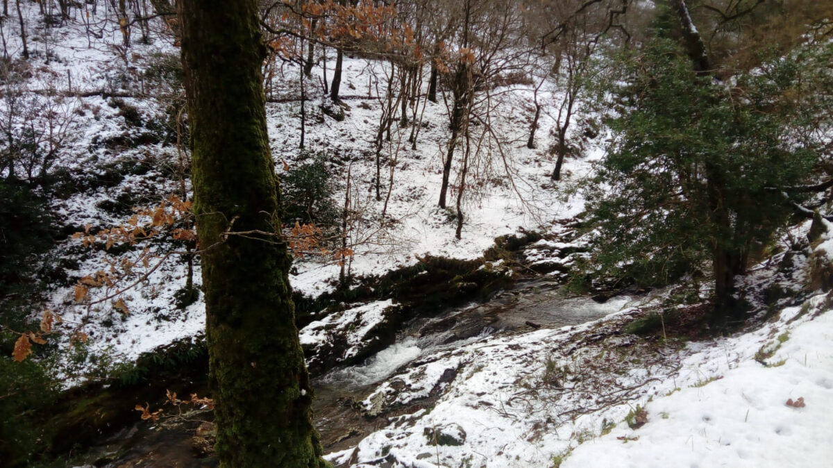 Žiemos nebuvimas keičia gamtą. Neužšalančios upės bei ežerai.