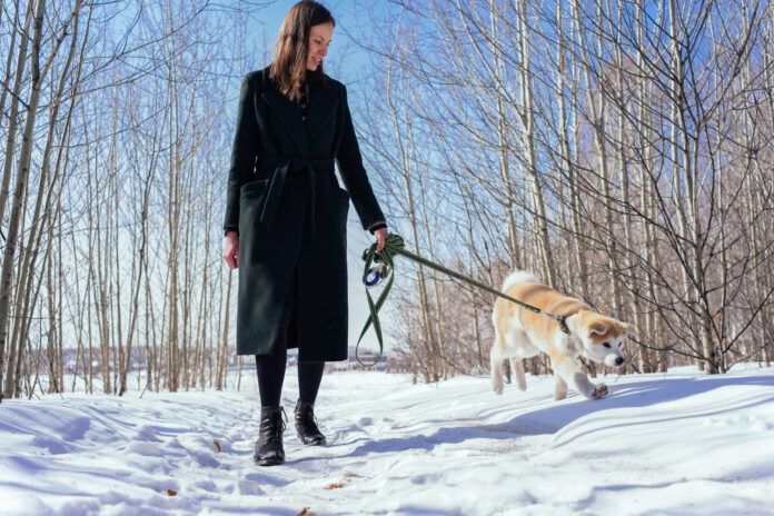 kodel-dideli-salciai-pavojingi-gyvunams Kodėl dideli šalčiai pavojingi gyvūnams. Pasivaikščiojimas lauke.