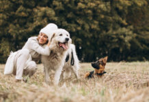 Kodėl šunų gyvenimo trukmė skiriasi: veislė, dydis ir genetika Šunų gyvenimo trukmė.