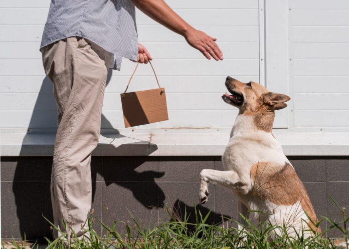 sveiki-uzkandziai-sunims Sveiki užkandžiai šunims.