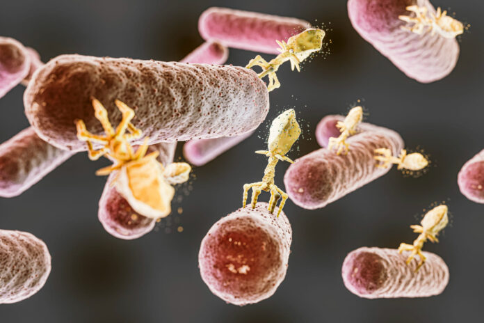 taksoplazmoze Taksoplazmoze.