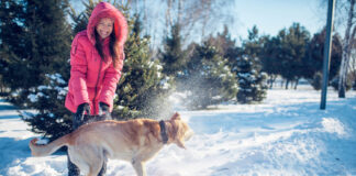Kaip pripratinti šunį plauti letenas po pasivaikščiojimo be streso? Kaip pripratinti šunį plauti letenas.