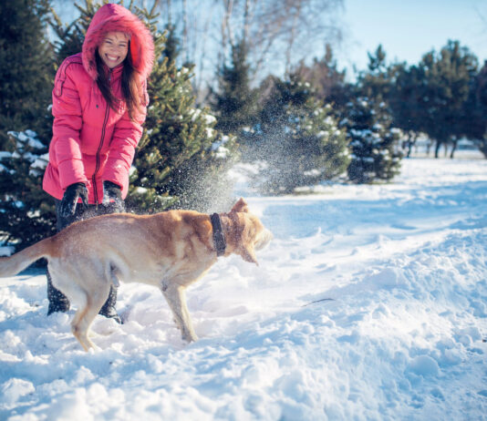 Kaip pripratinti šunį plauti letenas po pasivaikščiojimo be streso? Kaip pripratinti šunį plauti letenas.