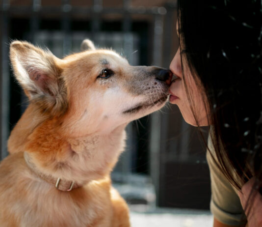 Kaip šunys užuodžia ligas dar prieš diagnozę? Kaip šunys užuodžia ligas.