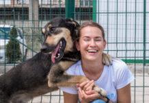 Kiek iš tikrųjų kainuoja įsivaikinti šunį? Skaičiai nustebins Kiek kainuoja įsivaikint šunį.