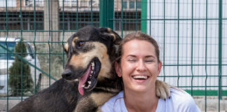 Kiek iš tikrųjų kainuoja įsivaikinti šunį? Skaičiai nustebins Kiek kainuoja įsivaikint šunį.