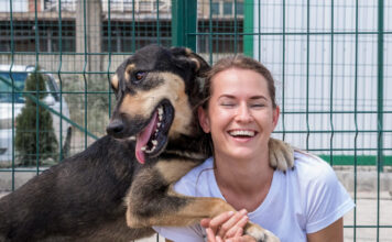 Kiek iš tikrųjų kainuoja įsivaikinti šunį? Skaičiai nustebins Kiek kainuoja įsivaikint šunį.