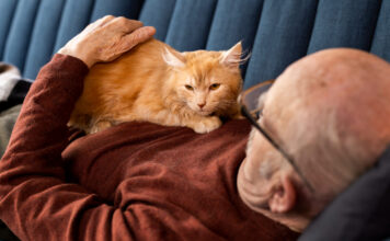 Mokslininkai paaiškino, kodėl katės miega ant žmogaus