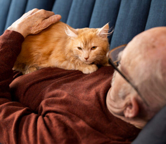 Mokslininkai paaiškino, kodėl katės miega ant žmogaus
