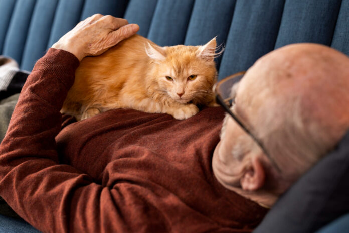 kodel-kates-miega-ant-zmogaus