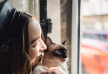 Kodėl katės pasirenka vieną konkretų žmogų? Kodėl katės pasirenka vieną konkretų žmogų.