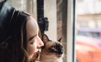 Kodėl katės pasirenka vieną konkretų žmogų? Kodėl katės pasirenka vieną konkretų žmogų.