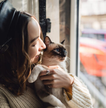 Kodėl katės pasirenka vieną konkretų žmogų? Kodėl katės pasirenka vieną konkretų žmogų.
