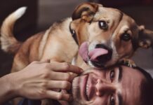 Ar kada nors susimąstėte, kodėl šuo laižo žmogų? Kodėl šuo laižo žmogų.