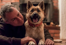 Ar tikrai šuns bausmė auklėja? Tiesa, kurią turėtų žinoti kiekvienas šeimininkas Šuns bausmė.