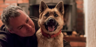 Ar tikrai šuns bausmė auklėja? Tiesa, kurią turėtų žinoti kiekvienas šeimininkas Šuns bausmė.