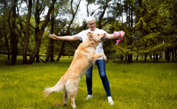 Šuo šokinėja ant žmonių? Štai kaip greitai jį atpratinti Šuo šokinėja ant žmonių.