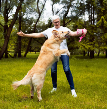 Šuo šokinėja ant žmonių? Štai kaip greitai jį atpratinti Šuo šokinėja ant žmonių.