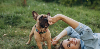 Mokslininkai nustatė: žaidžiant su jumis šuns smegenyse išsiskiria meilės hormonas Šuns smegenyse išsiskiria meilės hormonas.