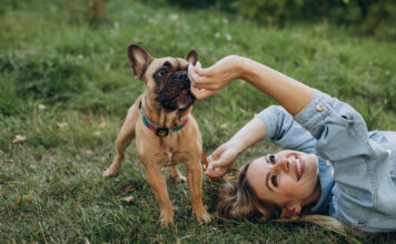 Mokslininkai nustatė: žaidžiant su jumis šuns smegenyse išsiskiria meilės hormonas Šuns smegenyse išsiskiria meilės hormonas.