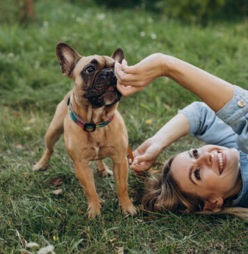 Mokslininkai nustatė: žaidžiant su jumis šuns smegenyse išsiskiria meilės hormonas Šuns smegenyse išsiskiria meilės hormonas.