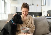 Šuo nuolat kasosi? Veterinarai įspėja apie maisto alergiją Alergija maistui šunims.