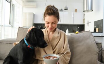 Šuo nuolat kasosi? Veterinarai įspėja apie maisto alergiją Alergija maistui šunims.