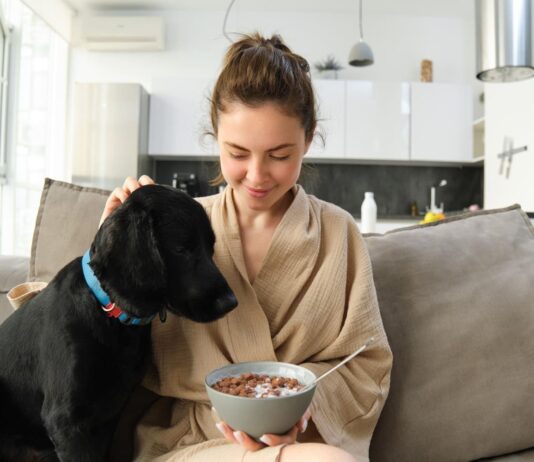 Šuo nuolat kasosi? Veterinarai įspėja apie maisto alergiją Alergija maistui šunims.