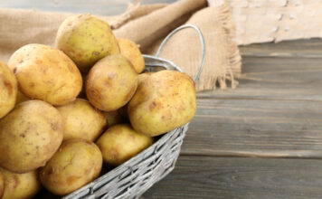 Ši klaida kainuoja derlių: kada iš tikrųjų sodinti bulves 2026 metais Kada sodinti bulves 2026 metais.