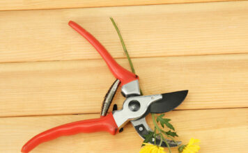 Kaip pagaląsti sekatorių namų sąlygomis: paprastas būdas, kuris veikia iš karto Kaip pagaląsti sekatorių.