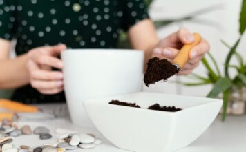 Nustokite pilti kavos tirščius po šiais augalais: juos tai veikia lyg nuodai Kam kenkia kavos tirščiai.