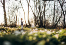 Kas vyksta miškuose, kai nutirpsta sniegas? Kas vyksta miškuose pavasarį.