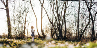 Kas vyksta miškuose, kai nutirpsta sniegas? Kas vyksta miškuose pavasarį.